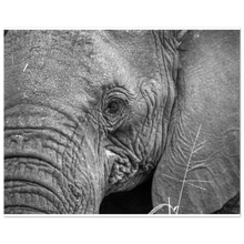 Load image into Gallery viewer, 0c7f07f3-2b9e-47b6-8cad-9e84fd11ca75