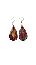 Load image into Gallery viewer, Painted Desert Color Earrings
