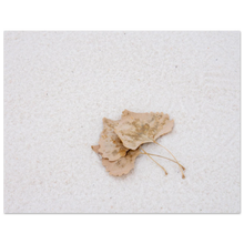 Load image into Gallery viewer, 3deca66d-a3ea-441c-9850-07bf6ade20ed