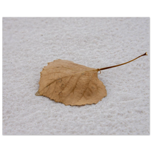 Load image into Gallery viewer, 40e98827-d98f-46b4-99dd-1daba429ebf2