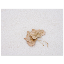 Load image into Gallery viewer, 435a6441-962a-4bbe-946c-34e27424cd28