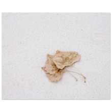 Load image into Gallery viewer, 5ad7a6dc-687f-4e47-8fcf-d7115d7cc9e7