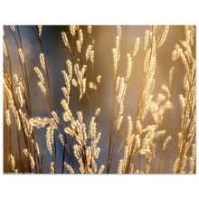 Load image into Gallery viewer, 609bf71b-59aa-4e2c-9007-122ecdeccaea