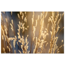 Load image into Gallery viewer, 6c6ec891-c20b-4faa-9330-357bdc16f5db
