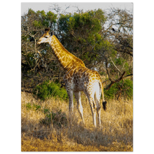 Load image into Gallery viewer, 73757c6d-53ef-4b95-b368-6fdab8ae522d