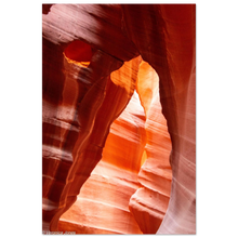 Load image into Gallery viewer, 8ce958a3-1432-4e42-8d94-a66a6baaca3e