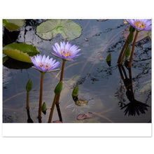 Load image into Gallery viewer, 910e37fd-e419-4dac-bb98-def8d889c2da