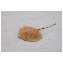 Load image into Gallery viewer, b1fff9c2-b110-4deb-bf97-447438acda94