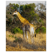 Load image into Gallery viewer, b9dd5475-6a8e-476a-be5a-9aa23512c3bd