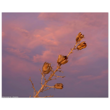 Load image into Gallery viewer, cf4dbde2-fa70-4ddc-b268-7ed9869d0941