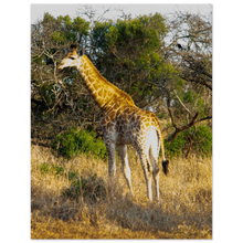 Load image into Gallery viewer, 04bbd4bd-fd05-4a24-a8cd-7408142402d2

