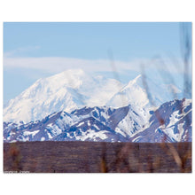 Load image into Gallery viewer, 07da8940-b9c9-485c-8136-61dd32a77297
