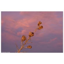 Load image into Gallery viewer, 0940af8e-50e8-46e8-a185-0094f5e96f36

