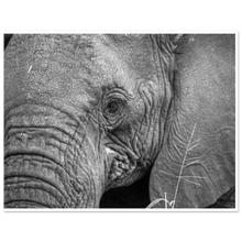 Load image into Gallery viewer, 0d563b3b-a2b7-4aa3-92f2-0b1fb727147e
