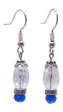 Load image into Gallery viewer, Blue Collection Earrings
