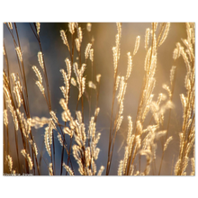 Load image into Gallery viewer, 5ae5752e-db45-4a7f-b494-3a91626e19f7
