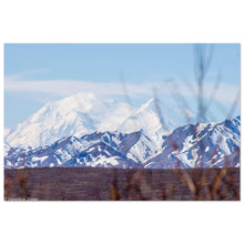 Load image into Gallery viewer, 76439281-9316-4ae5-9d3f-e84add9b1dcc

