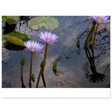 Load image into Gallery viewer, 8573ded6-86f2-47c5-8509-464732268bb3
