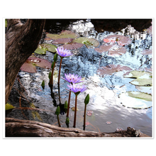 Load image into Gallery viewer, 929e95d1-d9c6-4b63-bdd3-1f964ceb1335
