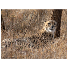 Load image into Gallery viewer, a01f11f9-c976-47f7-b7ea-5c817e5c890e
