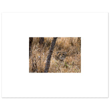 Load image into Gallery viewer, b0fe9776-5fe2-4420-b2f8-982ccfe494df
