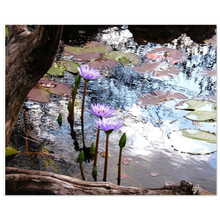 Load image into Gallery viewer, be93724c-4122-4740-b46b-502fbc738be2
