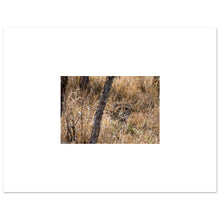 Load image into Gallery viewer, e886ccd8-42e9-4101-8e5d-c6d6e55d66fa
